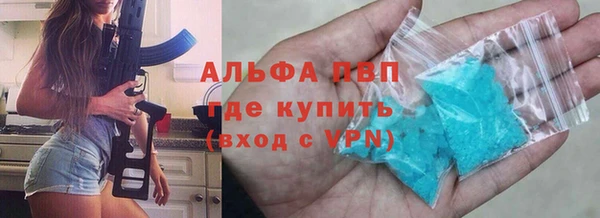 шишки Надым
