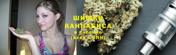 шишки Надым