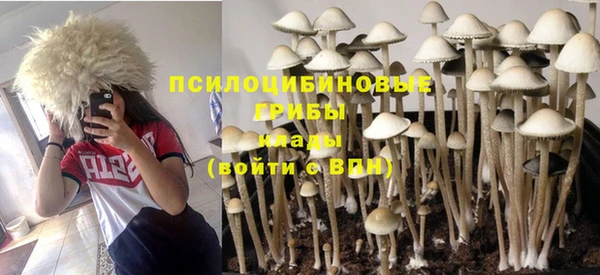 прущая мука Наволоки