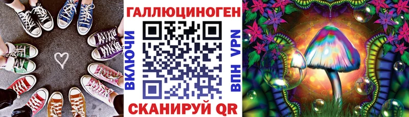 закладка  Хасавюрт  Галлюциногенные грибы Cubensis 